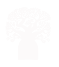 Boab Tree logo Broome Markets