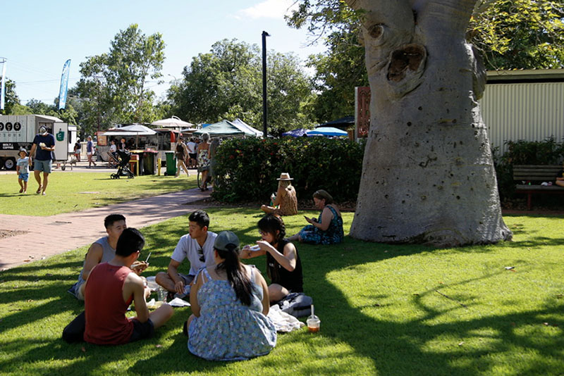 Boab Garden Newsletter SignUp