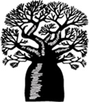  Boab Tree
